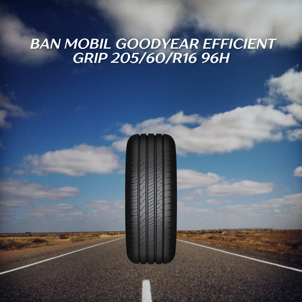 Goodyear Efficient Grip 205/60/R16 96H