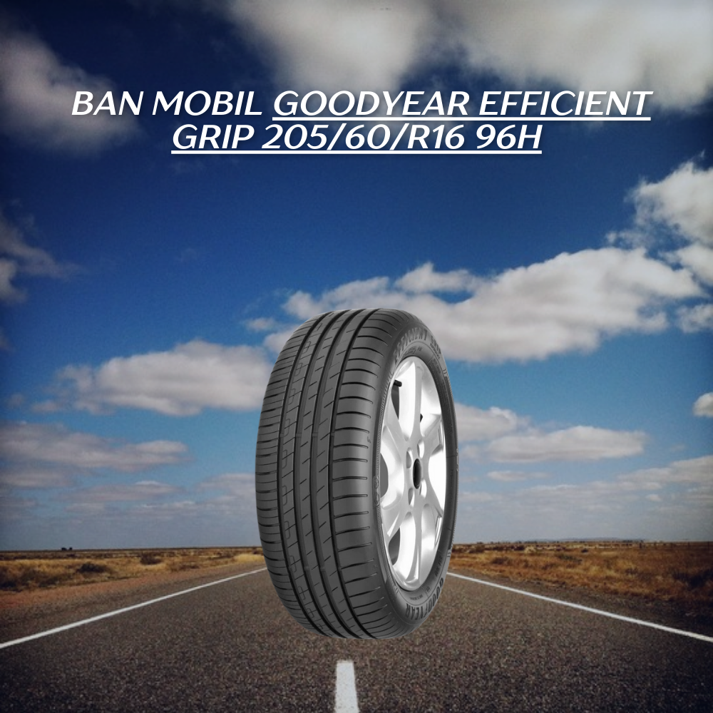 Goodyear Efficient Grip 205/60/R16 96H