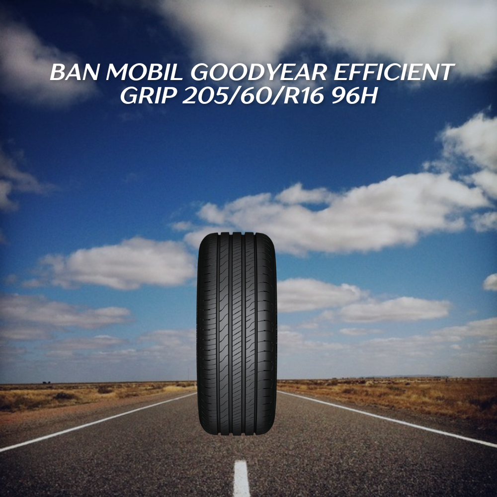 Goodyear Efficient Grip 205/60/R16 96H