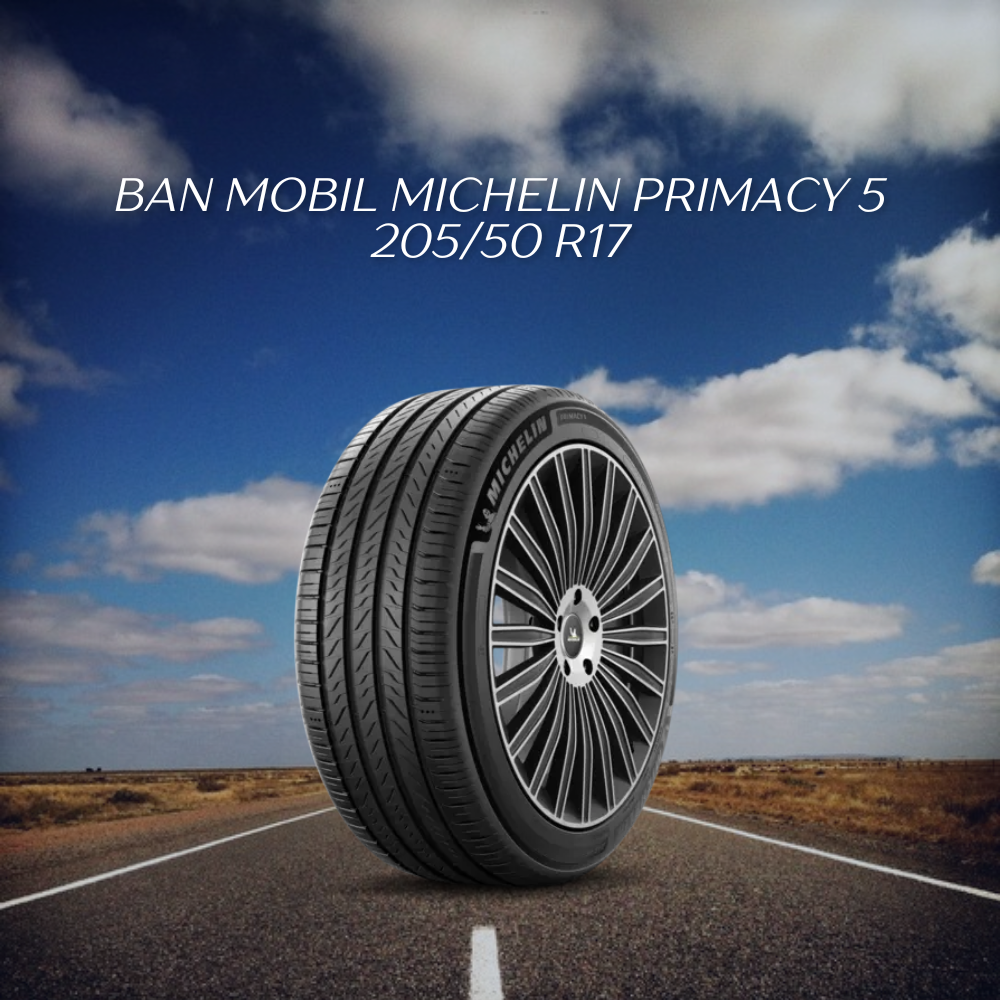Michelin Primacy 5 205/50 R17