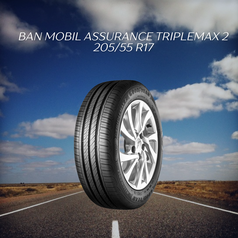 Assurance TripleMax 2 205/55 R17