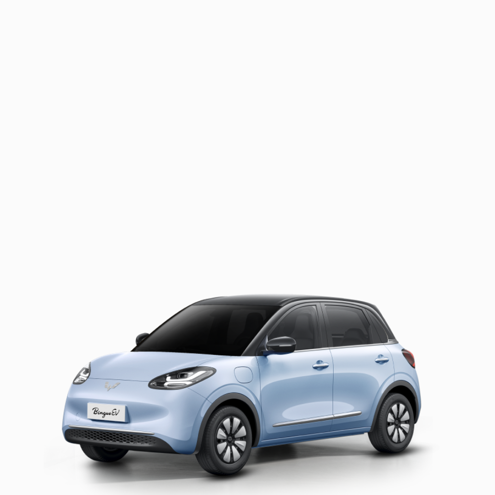ban mobil binguo ev