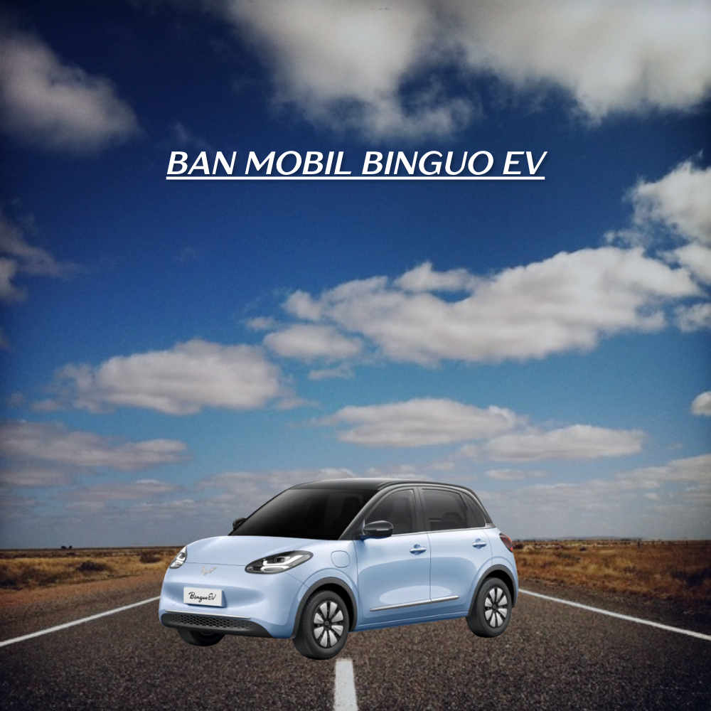 BinguoEV