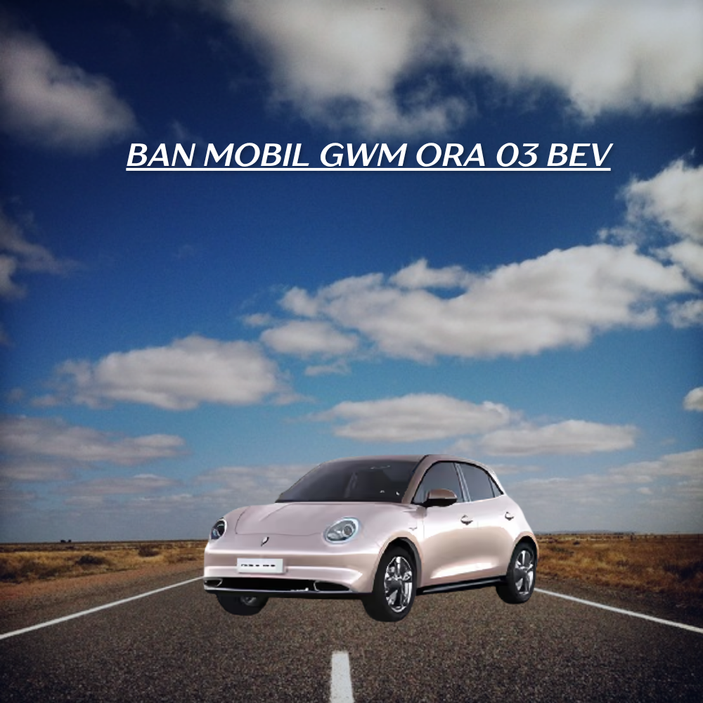 GWM Ora 03 BEV