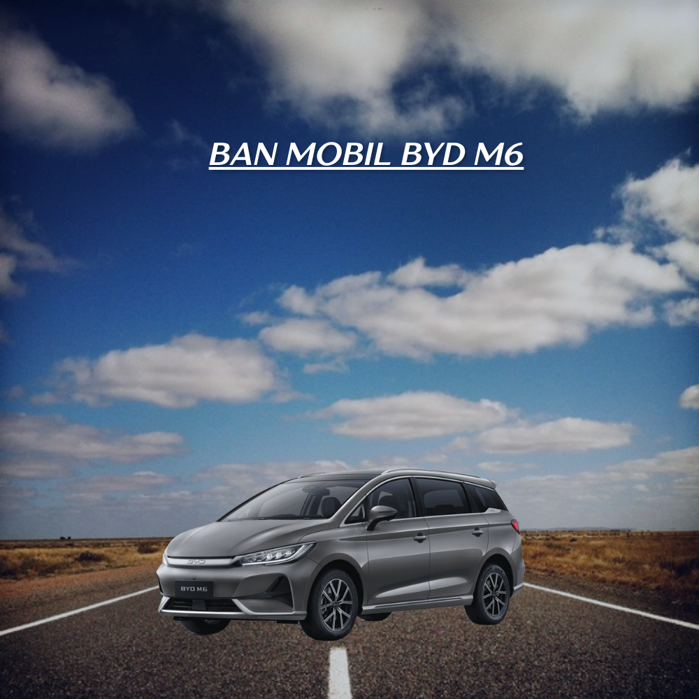 BYD M6