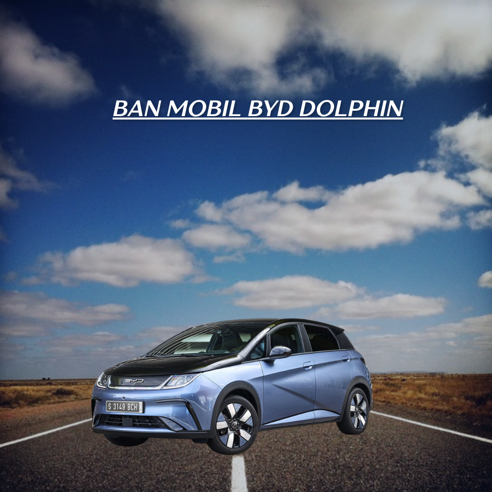 BYD Dolphin