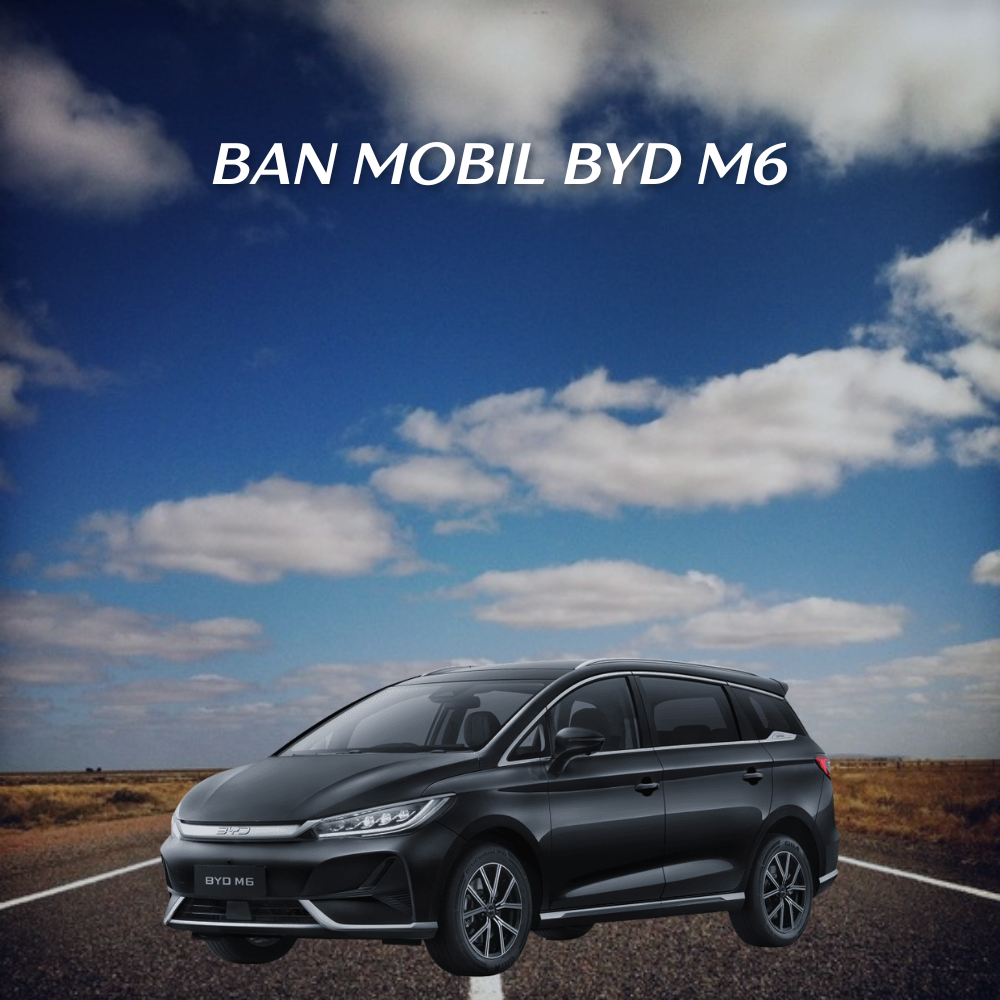 Ban mobil byd m6