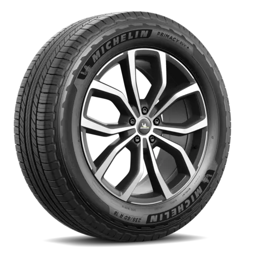 Ban OEM Michelin Primacy SUV Plus 235/55 R20