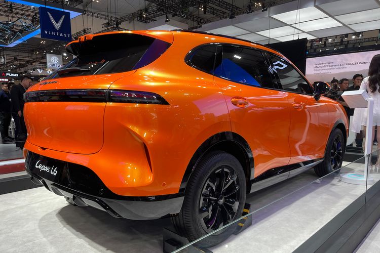 Ban OEM Lepas L6