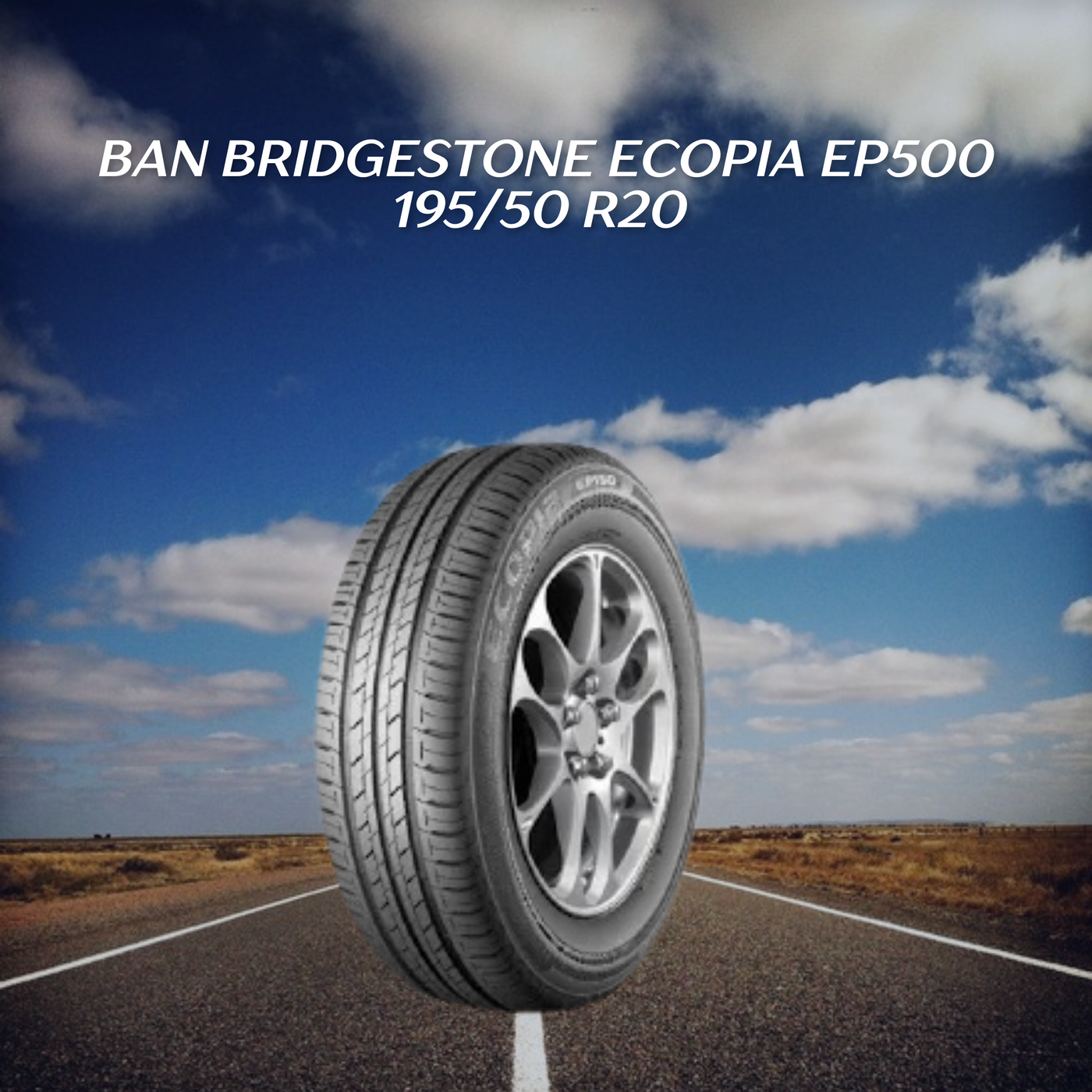 Ban Bridgestone Ecopia 