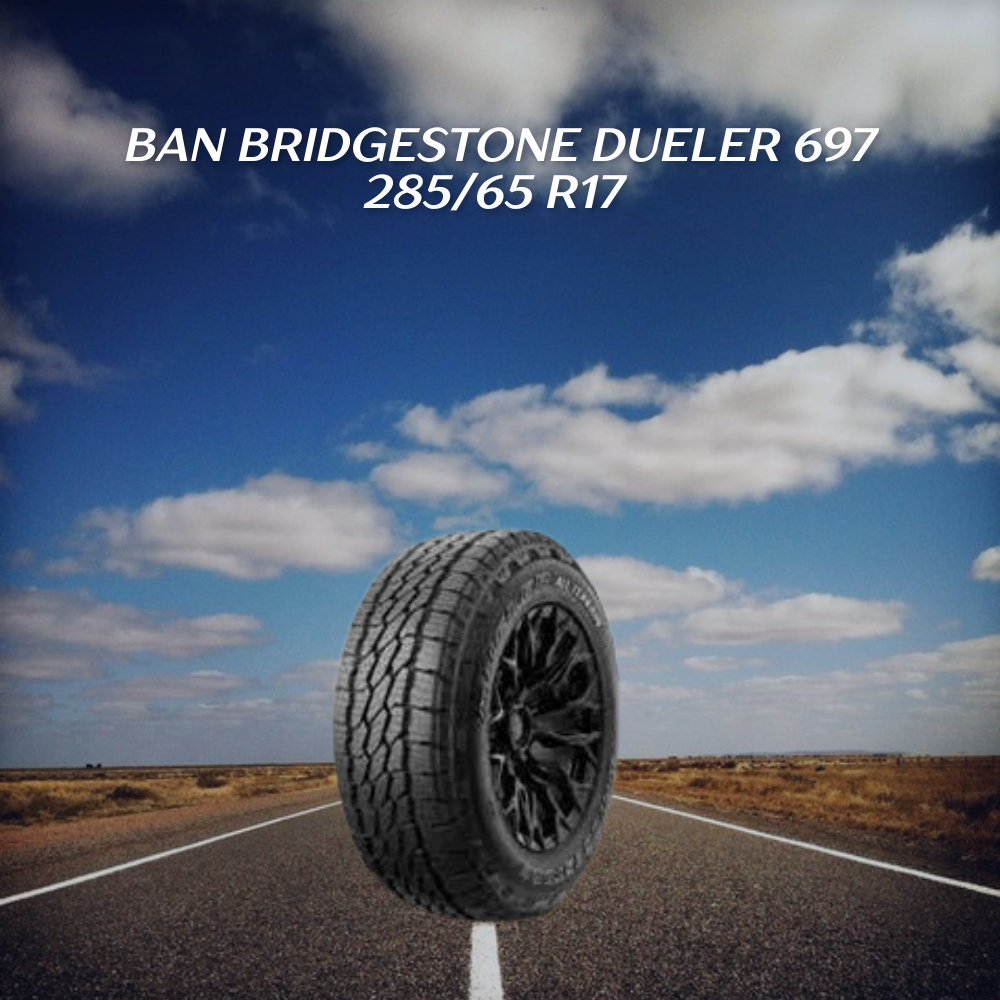 Ban Bridgestone Dueler