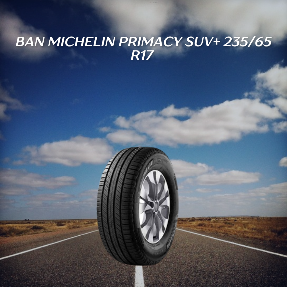 Ban Michelin Primacy SUV