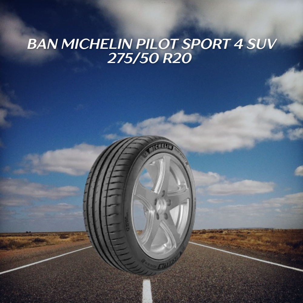 Ban Michelin Pilot Sport 
