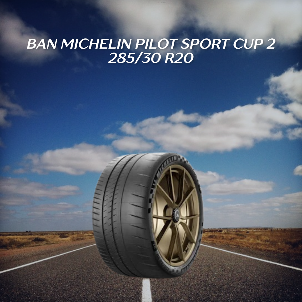 Ban Michelin Pilot Sport Cup 2 