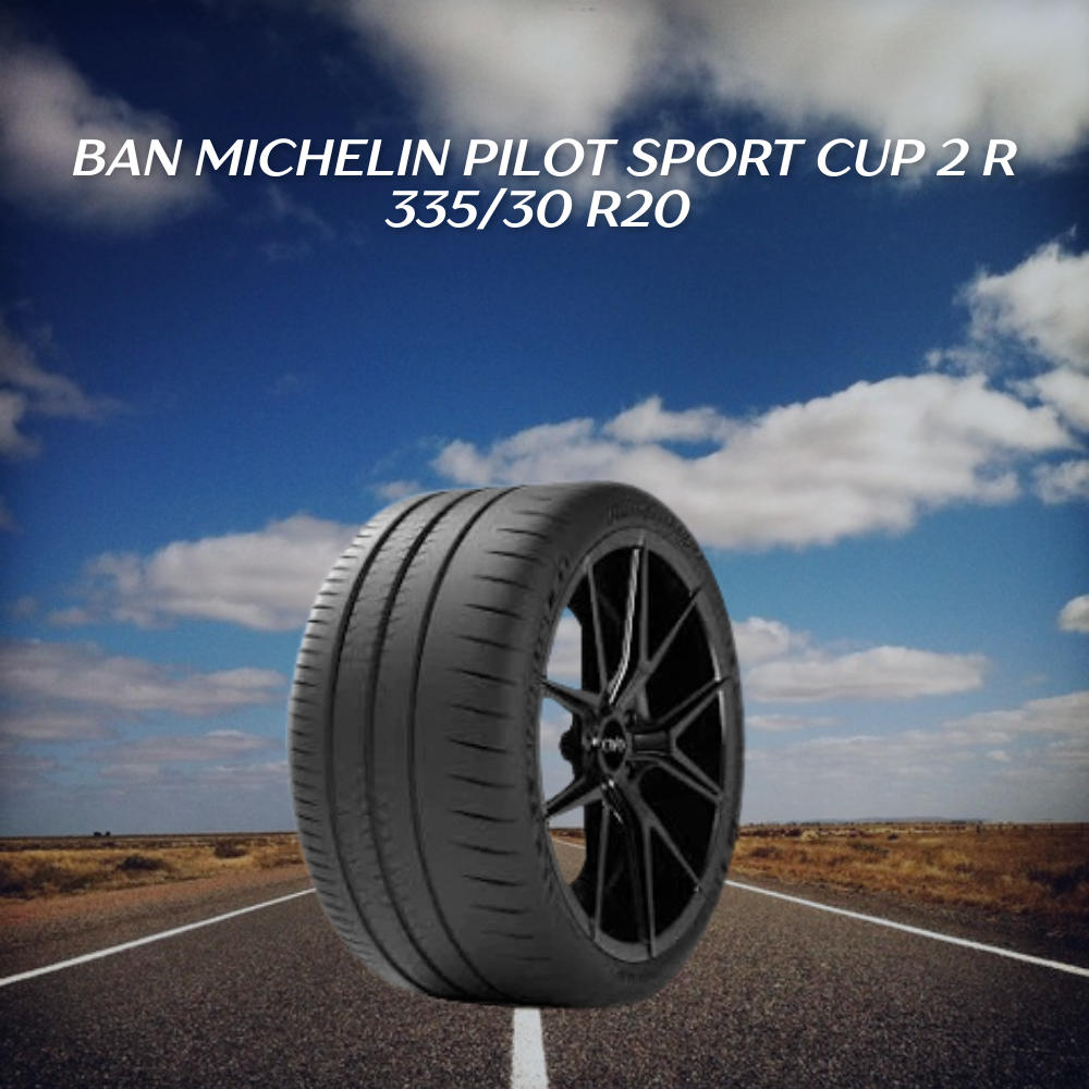 Ban Michelin Pilot Sport Cup 2 R 