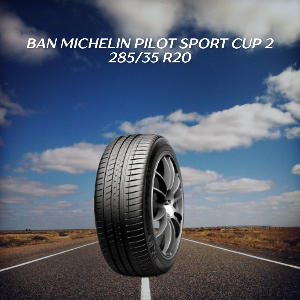Ban Michelin Pilot Sport Cup 2