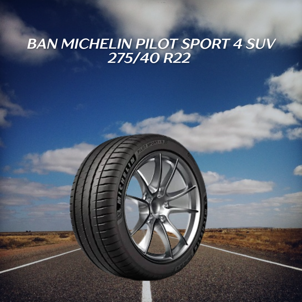 Ban Michelin Primacy 5 