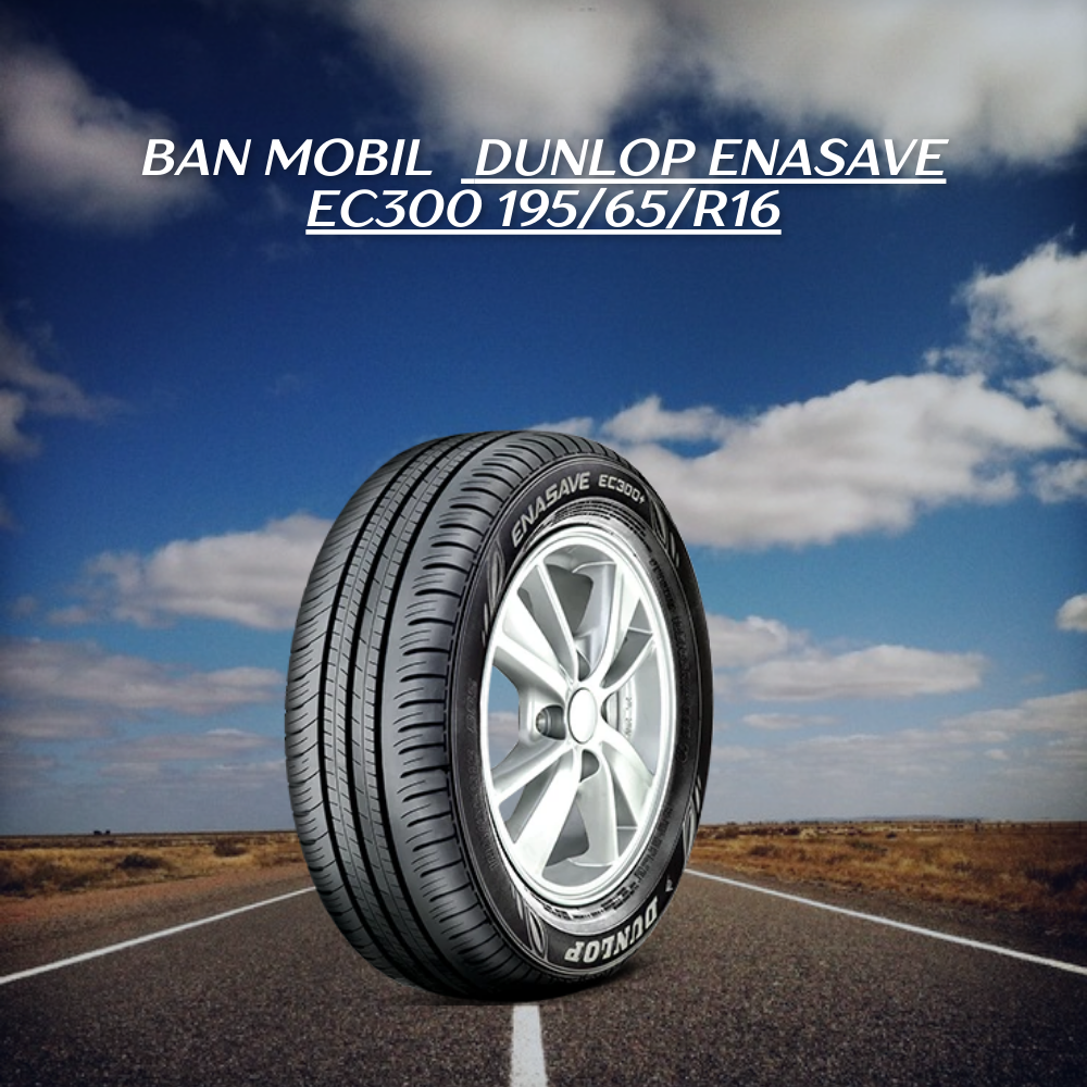  Dunlop Enasave EC300 195/65/R16