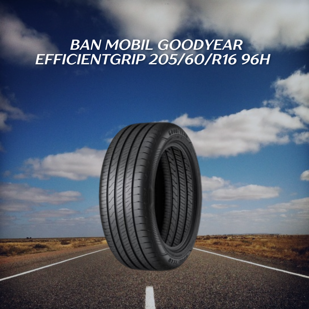 Goodyear EfficientGrip 205/60/R16 96H 