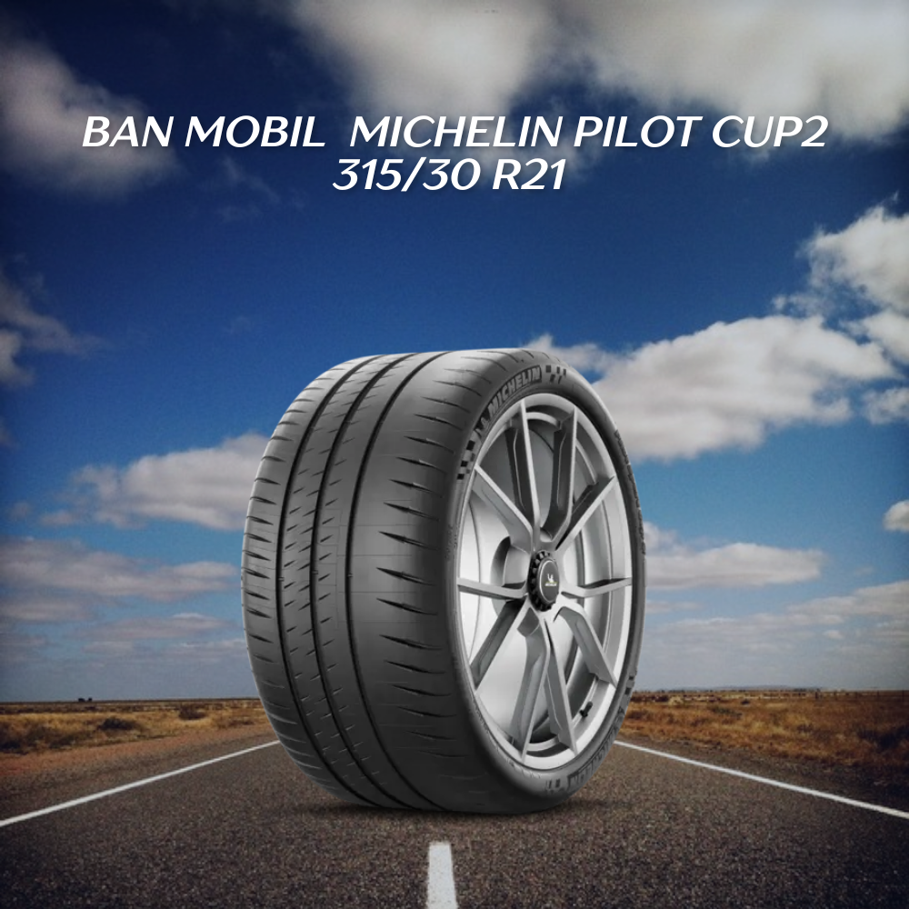  Michelin Pilot Cup2 315/30 R21 