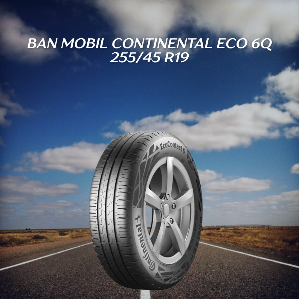 Ban mobil Continental Eco 6Q