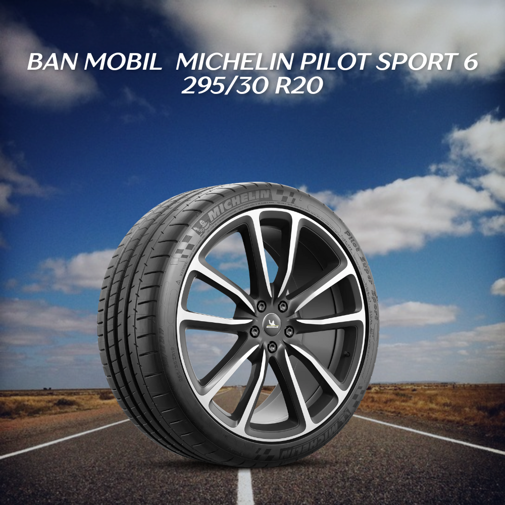  Michelin Pilot Sport 6 295/30 R20