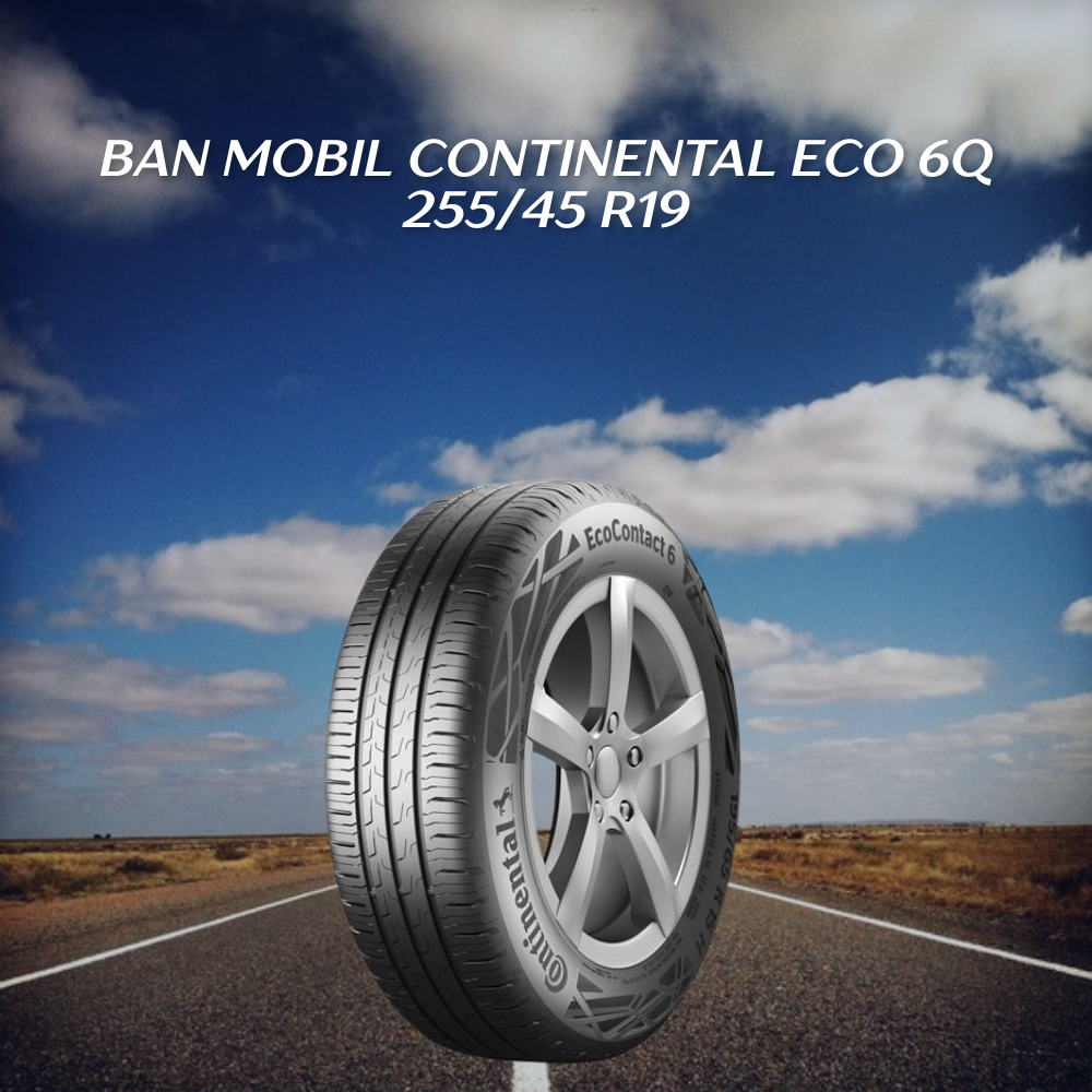 Ban mobil Continental Eco 6Q