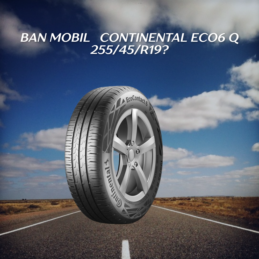 Continental Eco6 Q 255/45/R19?