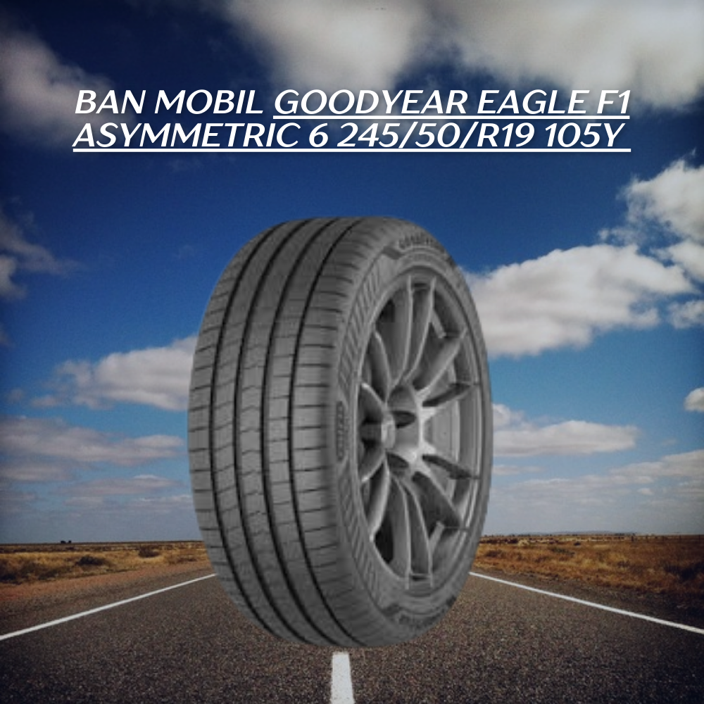  Goodyear Eagle F1 Asymmetric 6 245/50/R19 105Y 