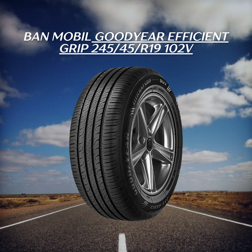 Goodyear Efficient Grip 245/45/R19 102V