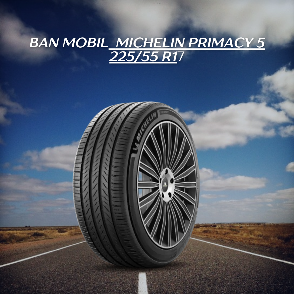  Michelin Primacy 5 225/55 R17