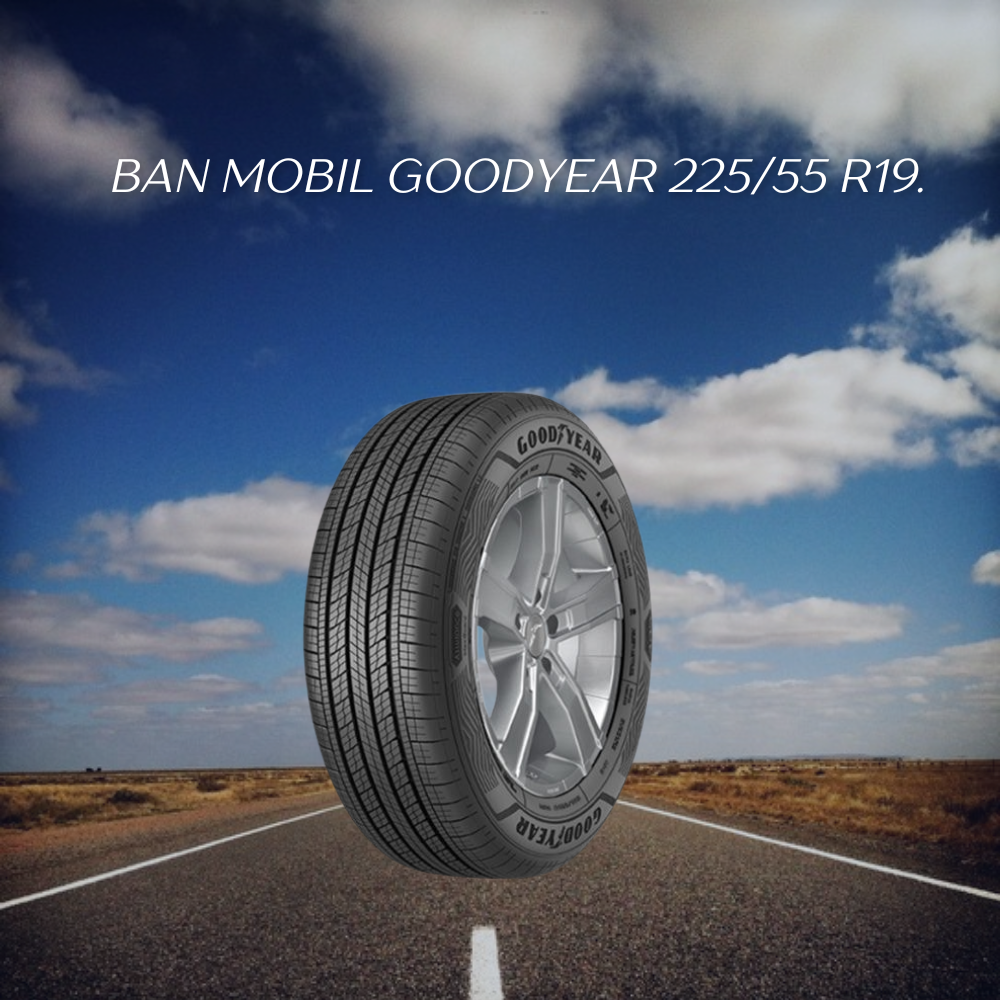 Goodyear 225/55 R19.