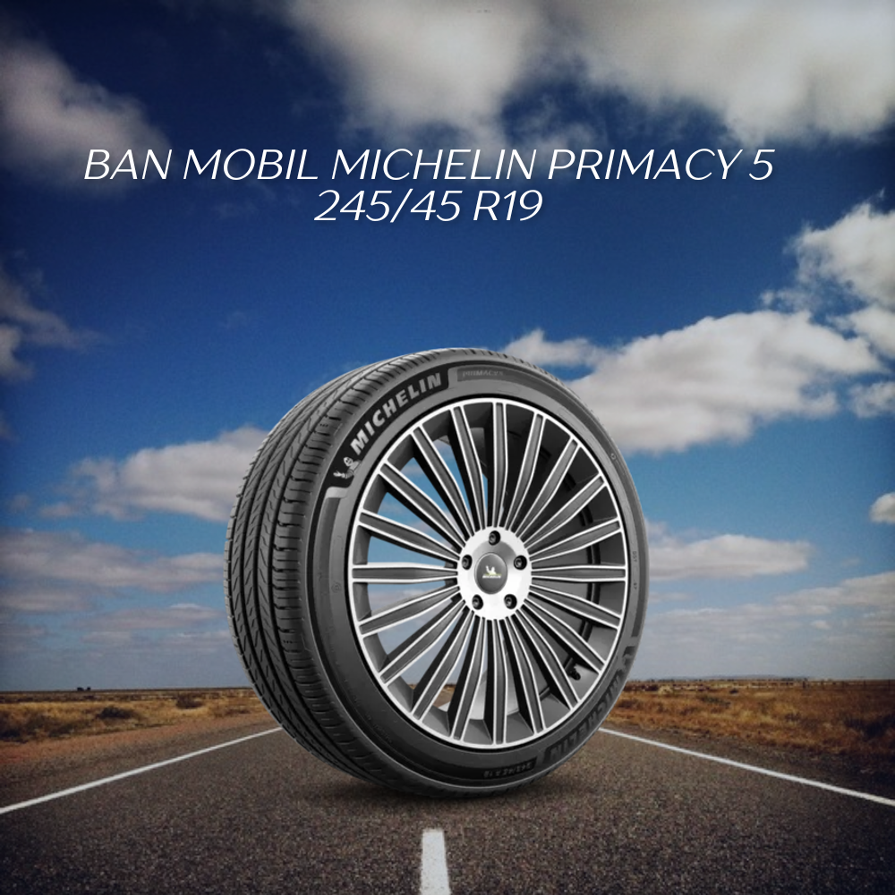 Michelin Primacy 5 245/45 R19