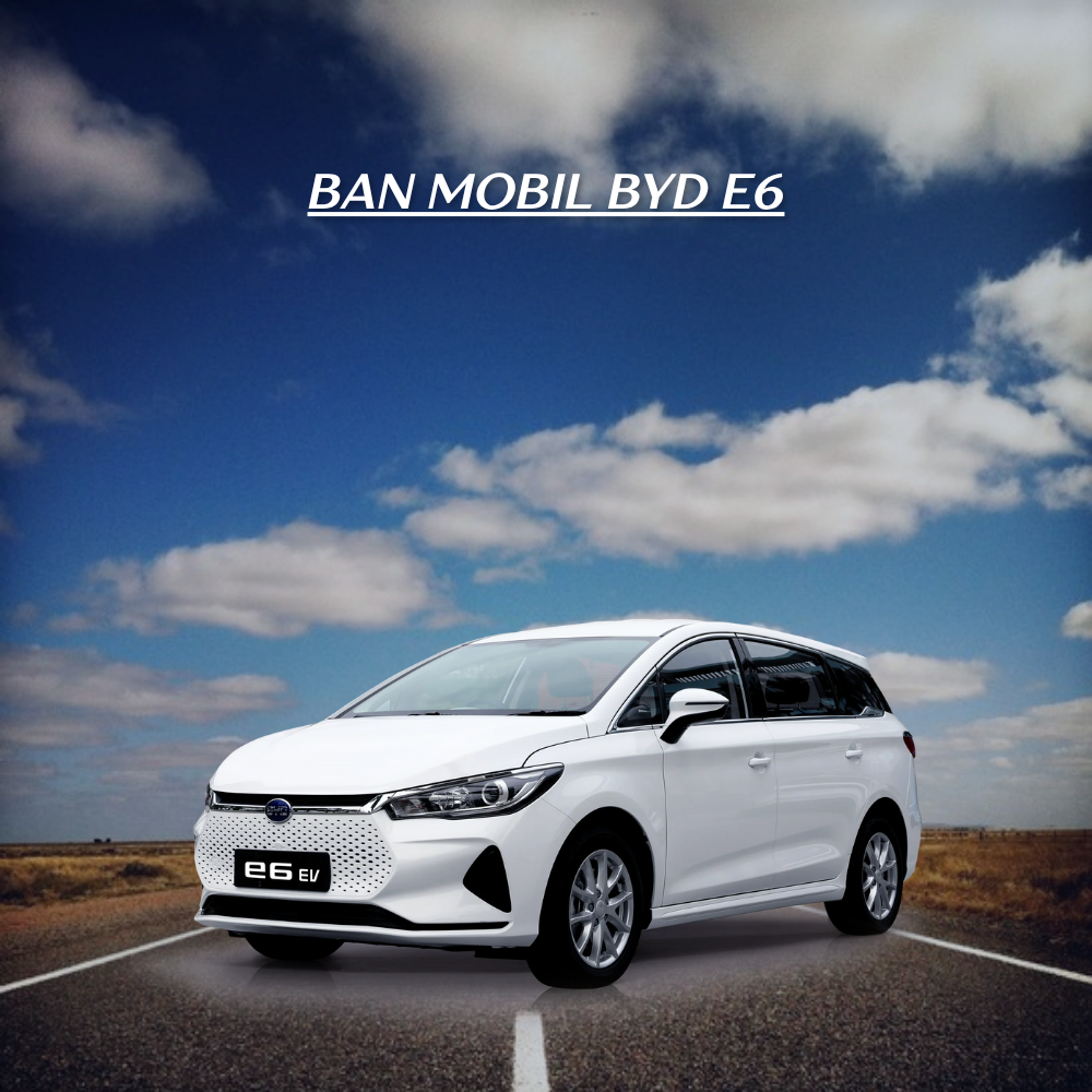  ban mobil BYD E6