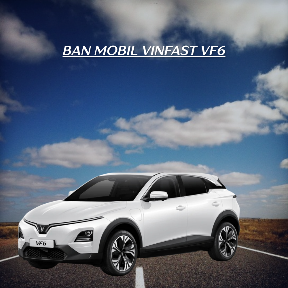  Vinfast VF6 