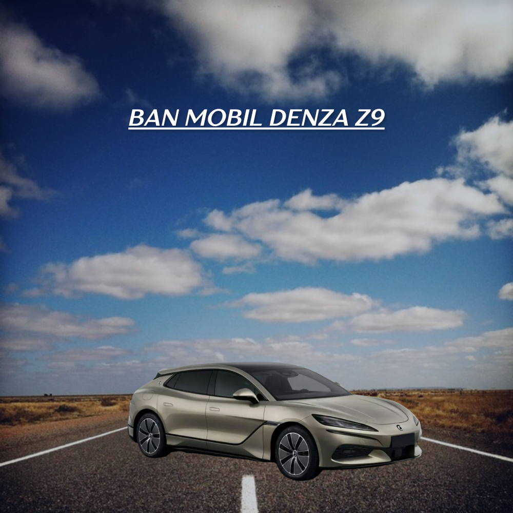  Denza Z9