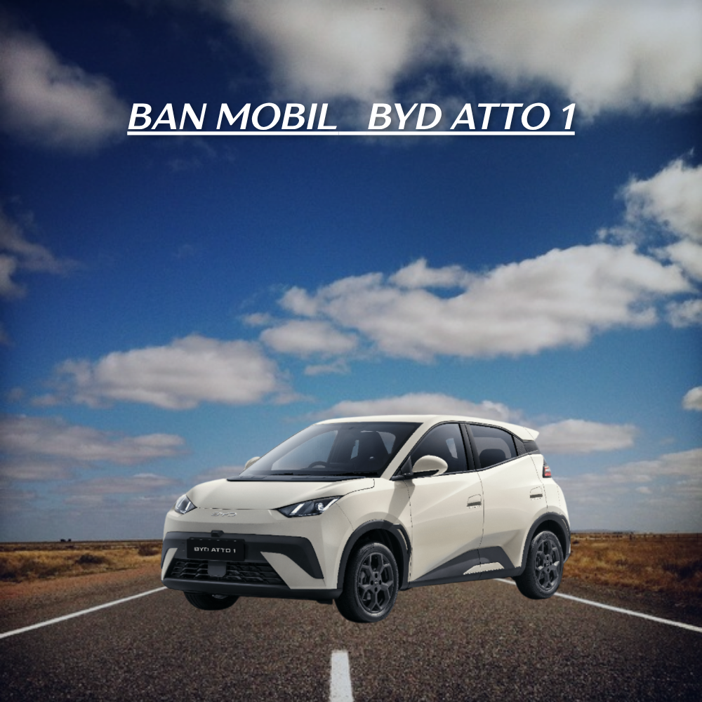  BYD Atto 1