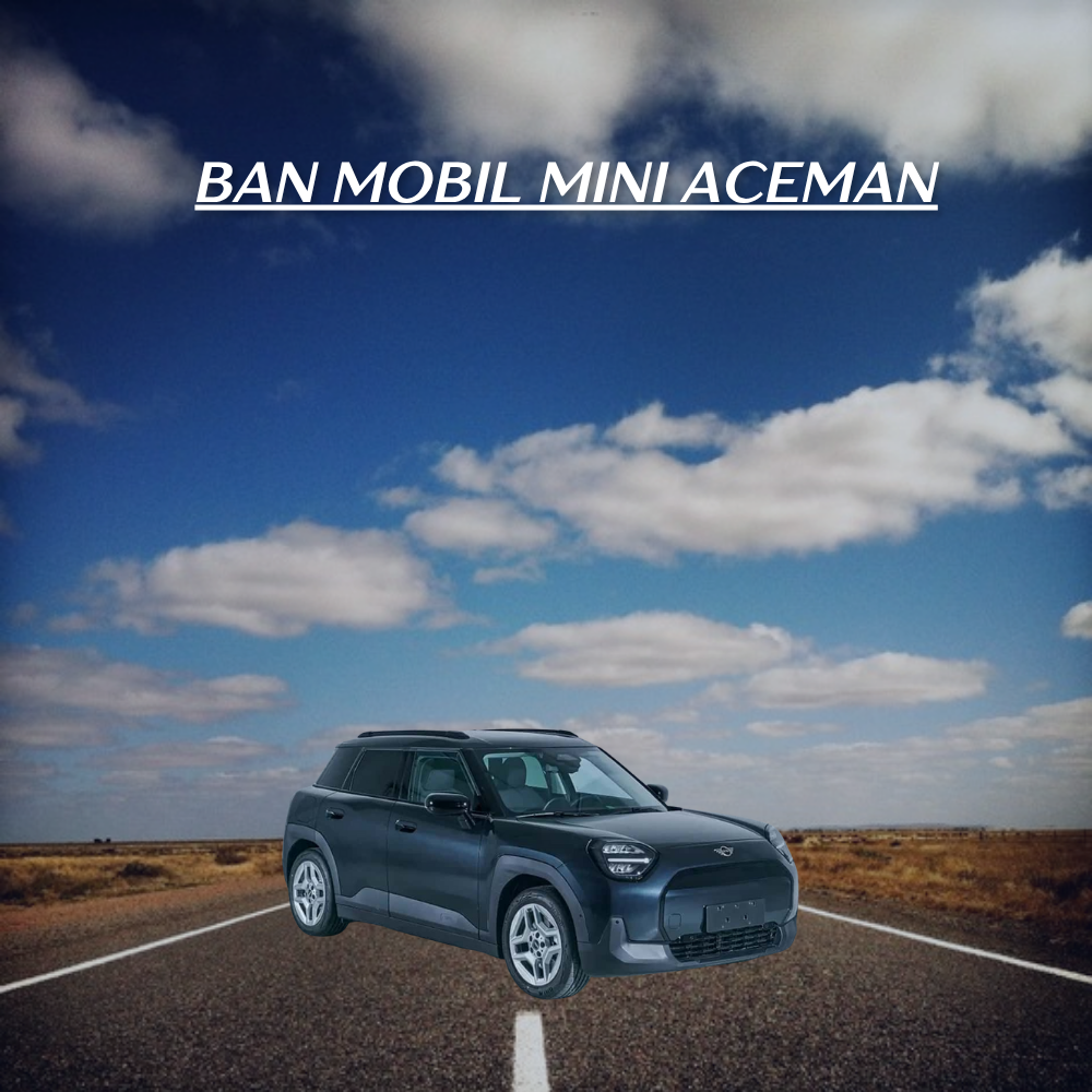 Mini Aceman