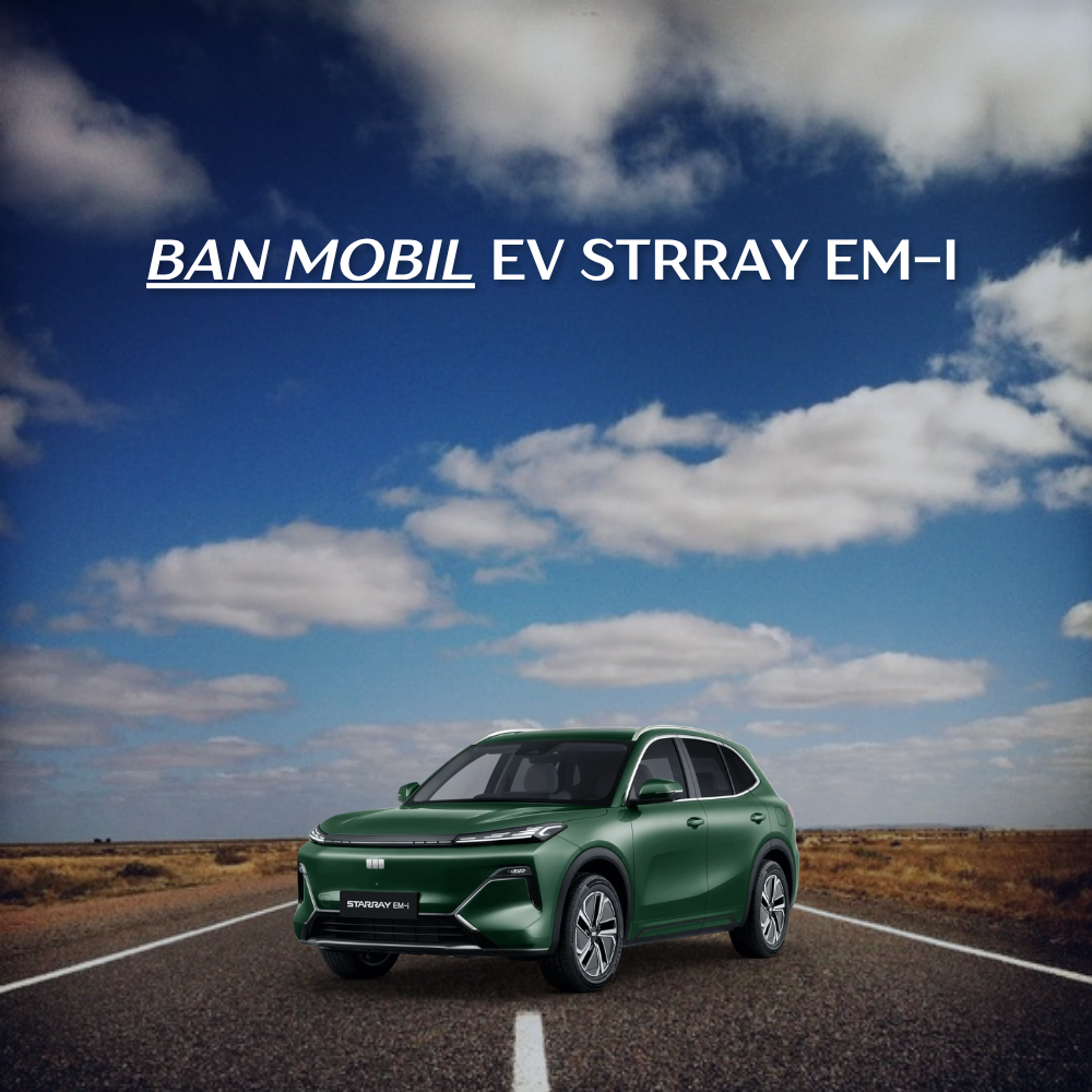 EV Strray EM-i 