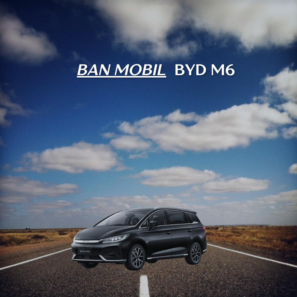 ban mobil BYD M6