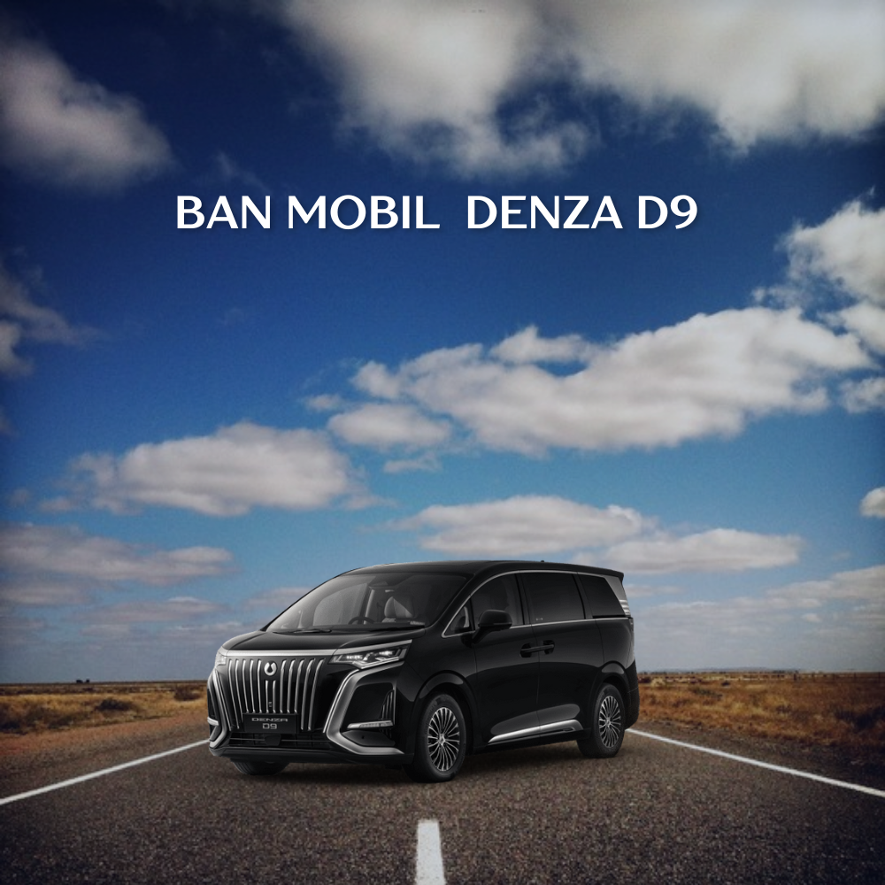 Denza D9 