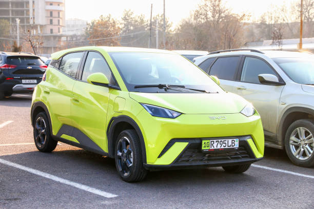 byd seagull
