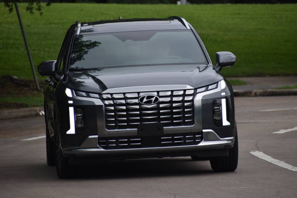 Ban Tangguh Untuk Hyundai Palisade